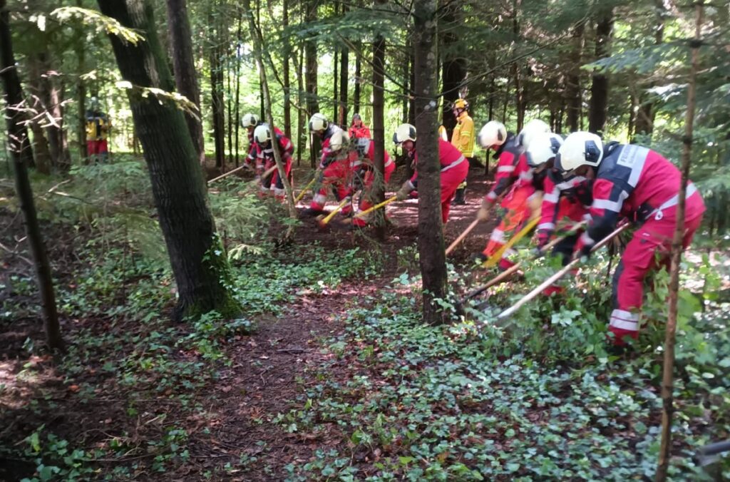 Haltelinie im Wald